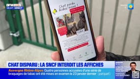 Lyon: une association demande la possibilité de poser des affiches dans les gares pour retrouver des animaux perdus