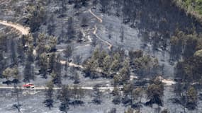Une forêt brûlée à Carnoux-en-Provence