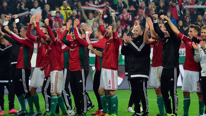 Les Hongrois fêtent leur qualification à l'Euro