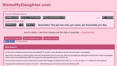 Le site de Stephen McLaughlin demandant aux internautes de choisir le prénom de sa fille qui doit naître début avril.