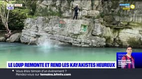 Alpes-Maritimes: le niveau du Loup remonte et rend les kayakistes heureux