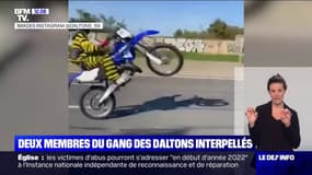 Deux membres du gang des Daltons interpellés