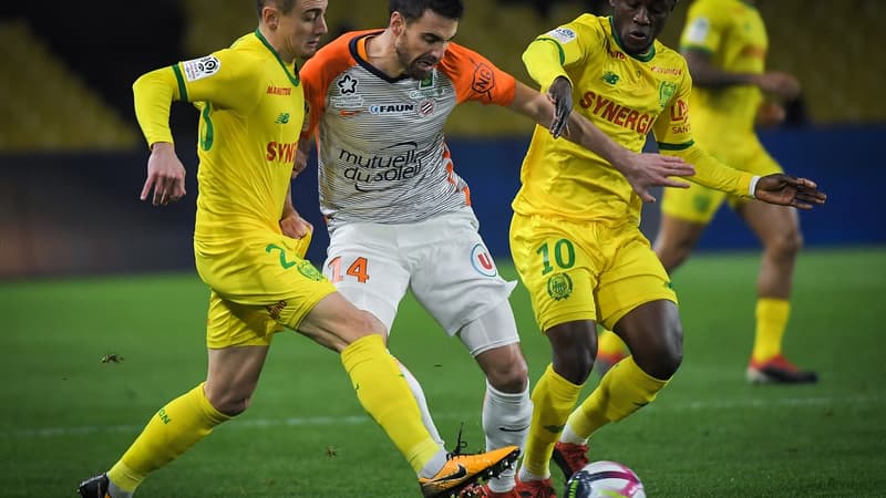 Le Tallec (MHSC)