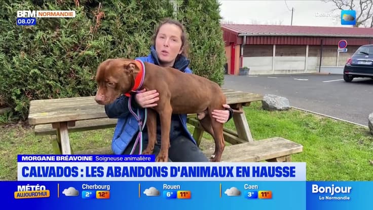 Le journal de 8h du mercredi 17 décembre 2025