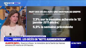 Épidémie de grippe: les décès en "nette augmentation"