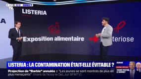 Qu'est-ce que la listeria et quels en sont les risques?