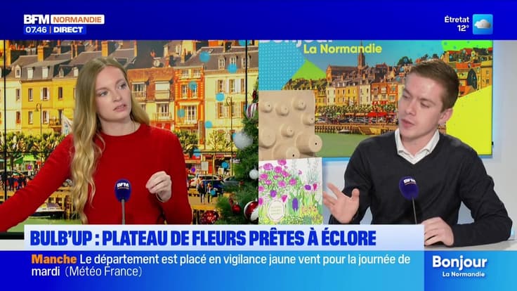 Bonjour la Normandie du mardi 9 décembre 2025