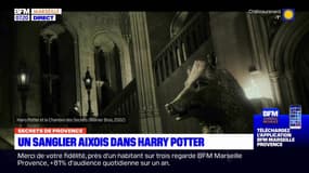 Aix-en-Provence: un sanglier de la ville dans Harry Potter