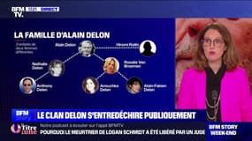 Story 2 : Affaire Delon, Anthony va répondre sur BFMTV - 05/01