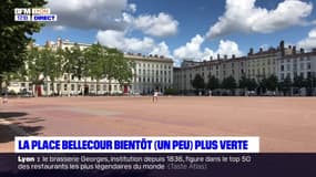 Lyon: la place Bellecour bientôt (un peu) plus verte?