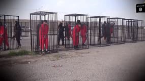 Capture d'écran tirée d'une vidéo diffusée dimanche 22 février par l'EI, montrant des combattants kurdes enfermés dans des cages. 