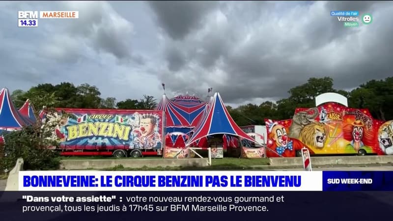 Marseille: installé dans le 8e arrondissement, le cirque Benzini n'est pas le bienvenu
