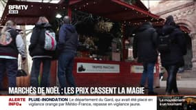 "Tout augmente chaque année": Les prix cassent la magie de Noël sur les marchés