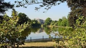 Le Bois de Boulogne (Illustration)