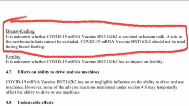 Capture d'écran d'un des fichiers attribués à Pfizer publiés sur les réseaux sociaux 