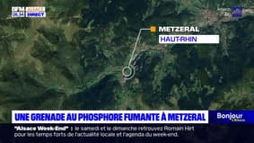 Haut-Rhin: deux randonneurs découvrent une grenade au phosphore de la 1re Guerre mondiale