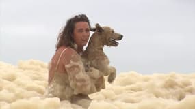 Une chienne se retrouve perdue dans une marée de mousse en Australie