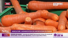 La moitié des terres agricoles françaises servent à l'exportation