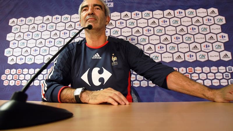 Raymond Domenech