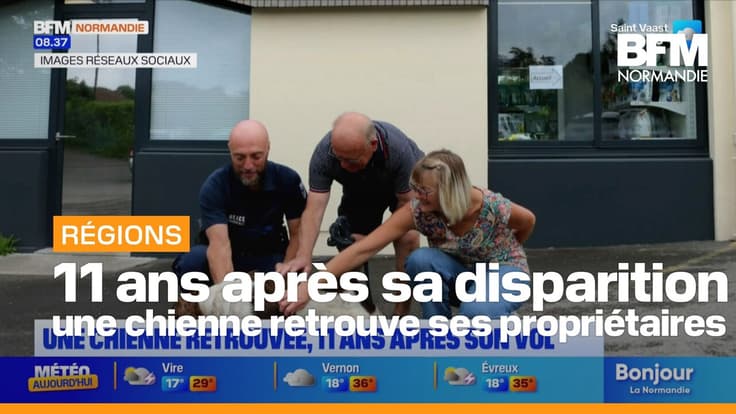  Une chienne retrouvée onze ans après sa disparition dans l’Yonne