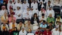 Coupe du monde: des supporters dans les tribunes au Qatar