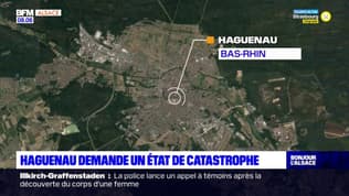 Bas-Rhin: la commune d'Haguenau demande son classement en état de catastrophe naturelle, après de fortes pluies