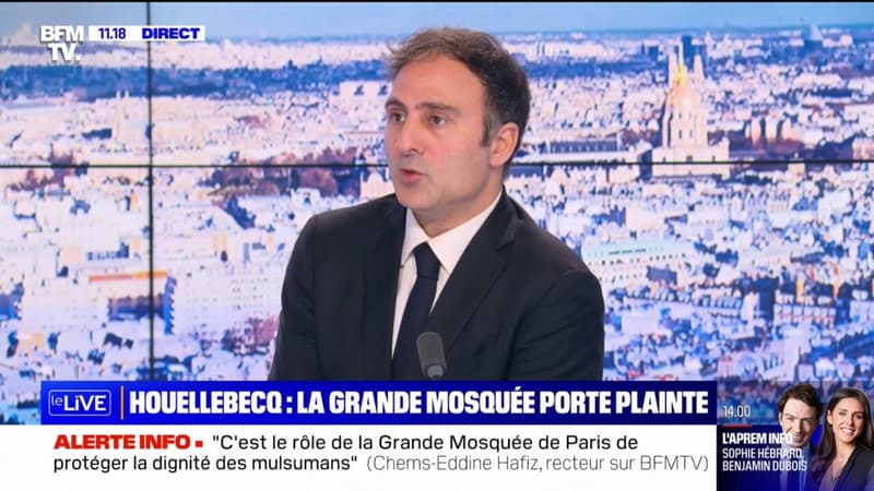 Le porte-parole de « Territoires de progrès » se dit « choqué » par les propos de Michel Houellebecq sur les musulmans
