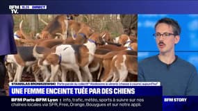 Femme tuée par des chiens: "Même si c'est un incident exceptionnel, ça ne doit pas arriver" (collectif "Abolissons la vénerie")