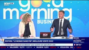 Claude de Saint-Vincent (Média-Participations) : Édition, "Le monde sans fin", meilleure vente 2022 - 02/01