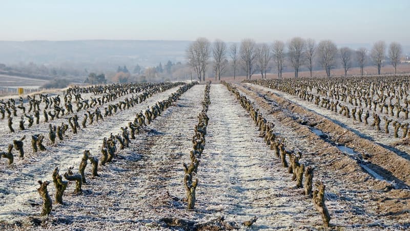 Gelées, neige, températures négatives: jusqu'à quand l'épisode de froid va-t-il durer?