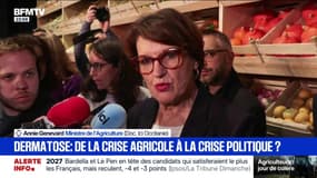 Dermatose : de la crise agricole à la crise politique ? - 13/12