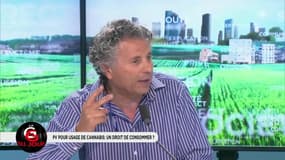 "Le cannabis est un poison" pour Gilles-William Goldnadel