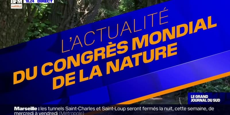 Congrès mondial de la nature de l'UICN: à Marseille, des solutions pour économiser l'eau