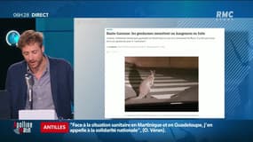 Les histoires de Romain Poisot : Un kangourou en cavale près de Toulouse - 09/08