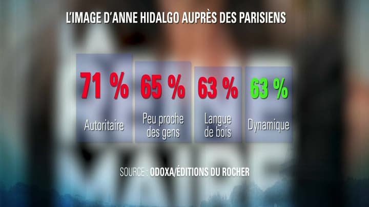 sondage Hidalgo sondage Hidalgo