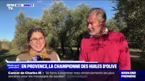 En Provence, la championne des huiles d'olive - 11/02