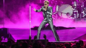 Johnny Hallyday en concert au Parc des princes en 2003. 