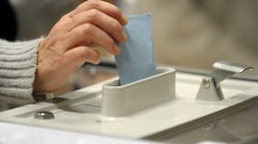 Quelque 48 millions d'électeurs sont appelés aux urnes dimanche pour le premier tour des élections régionales