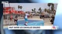 Pogba, Tolisso, Neymar... L'Actu Sport.Net du 24 juillet 2018