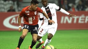 Araujo et Ikoko