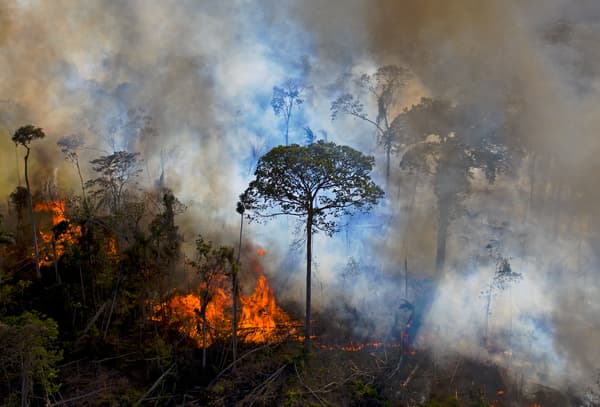 Des flammes dans la forêt amazonienne, le 15 août 2020.