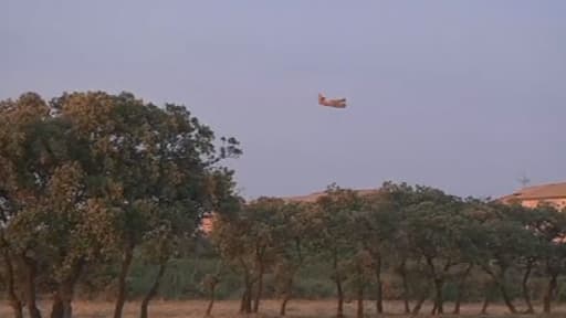 Près de 200 hectares de végétation sont partis en fumée mardi dans l'Aude.