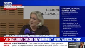 Crise politique: "Je censurerai tous les gouvernements jusqu'à obtenir la dissolution", assure Marine Le Pen