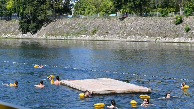 Baignade dans la Marne et la Seine: plusieurs communes du Val-de-Marne se...