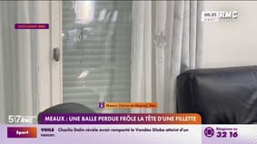 Meaux : une balle perdue frôle la tête d'une fillette 