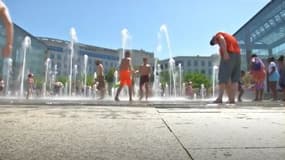 Que faut-il manger pendant la canicule?
