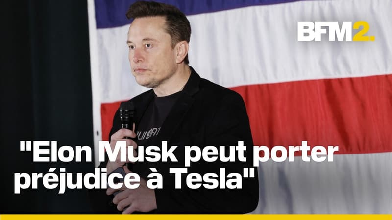 Face aux positions politiques d'Elon Musk, les actions anti-Tesla se multiplient