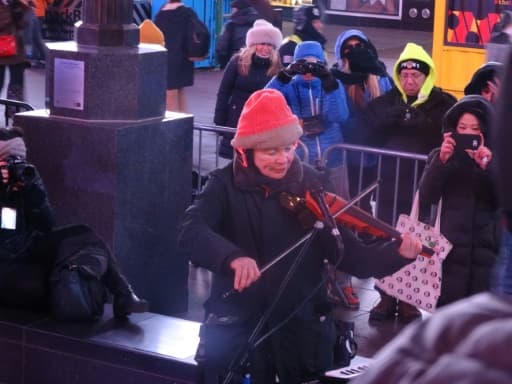 L'artiste Laurie Anderson joue au violon électronique lors d'un concert pour chiens à Times Square à New York le 4 janvier 2016 L'artiste Laurie Anderson joue au violon électronique lors d'un concert pour chiens à Times Square à New York le 4 janvier 2016
