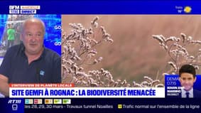 Planète Locale du lundi 20 mars 2023 - Site GEMFI à Rognac, la biodiversité menacée