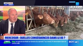 Colère des agriculteurs: "la voix de la France n'est plus écoutée", selon le maire de Pelleautier